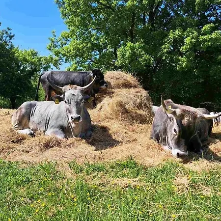 Ferienlandhaus Zvanya * Kozljak